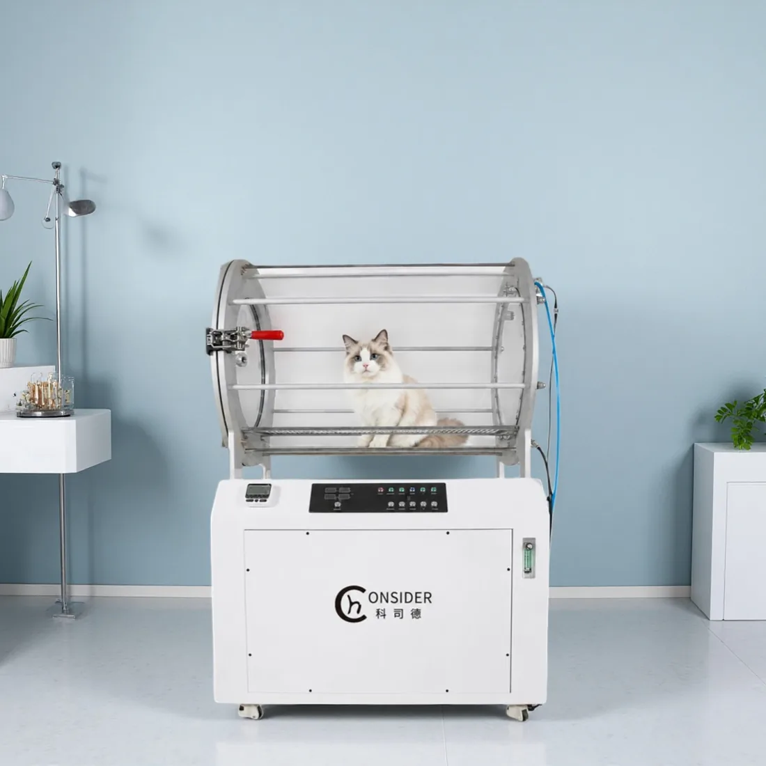 Veterinary Chambers